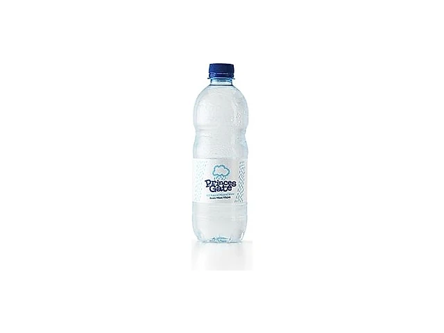 Princes Gate Still Water 500ml